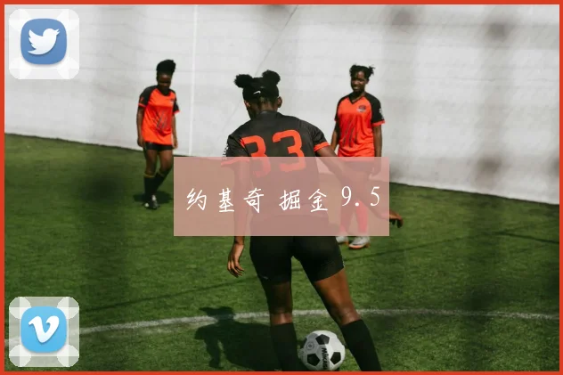 约基奇 掘金 9.5