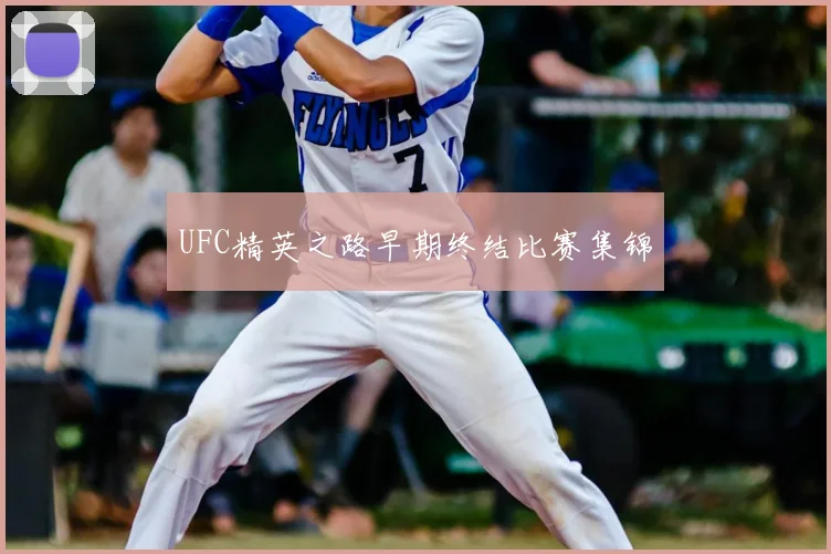 UFC精英之路早期终结比赛集锦