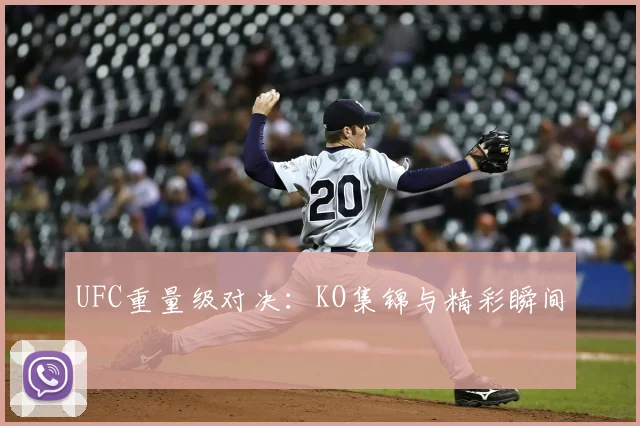 UFC重量级对决:KO集锦与精彩瞬间