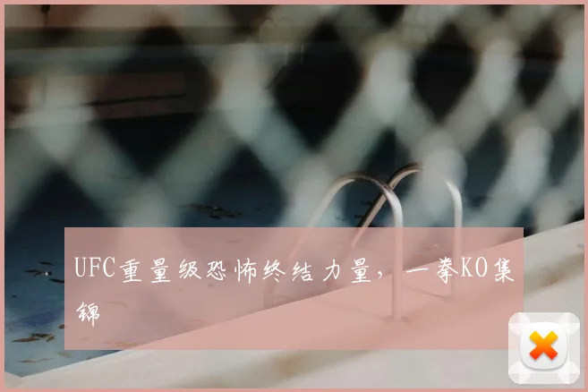 UFC重量级恐怖终结力量，一拳KO集锦