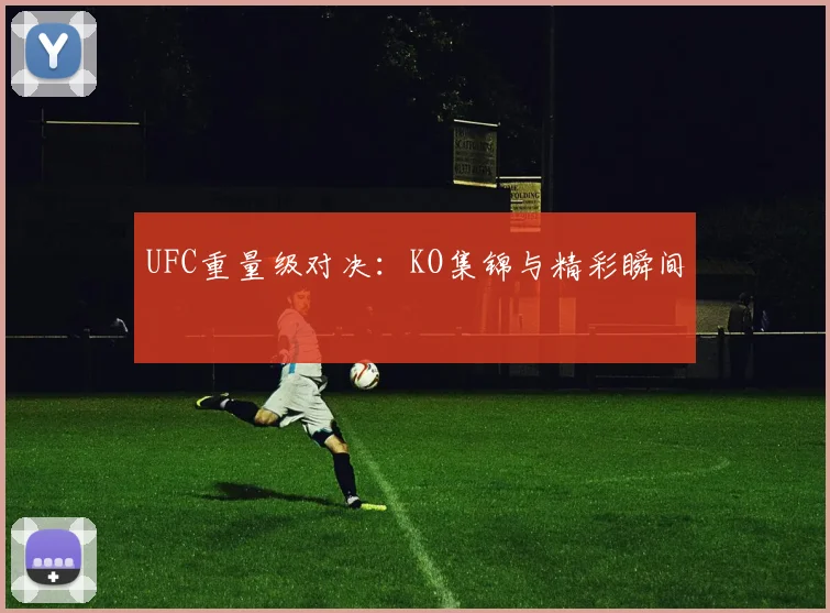 UFC重量级对决:KO集锦与精彩瞬间