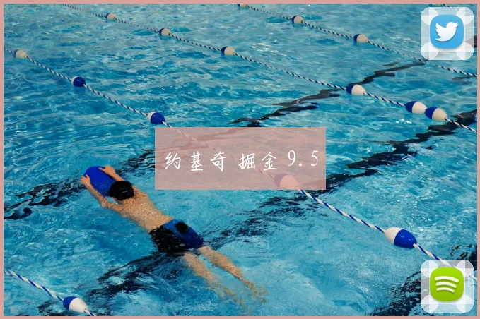 约基奇 掘金 9.5