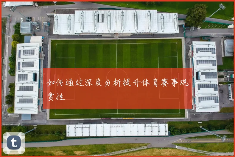 如何通过深度分析提升体育赛事观赏性