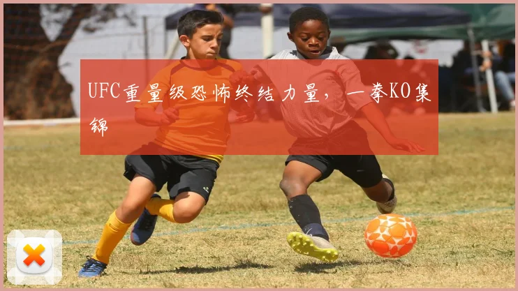 UFC重量级恐怖终结力量，一拳KO集锦